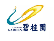 广东碧桂园地产